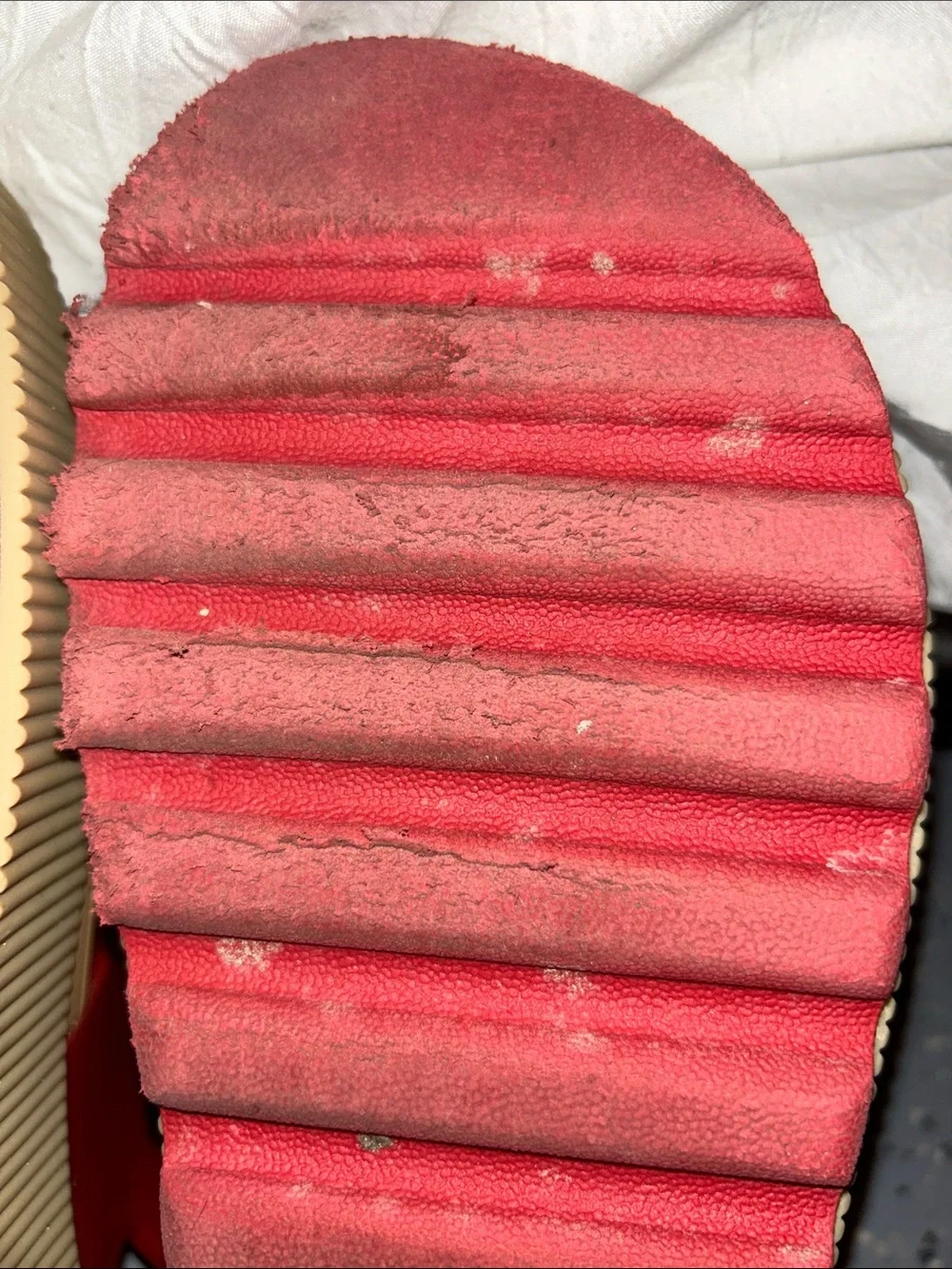 Reef stylish red